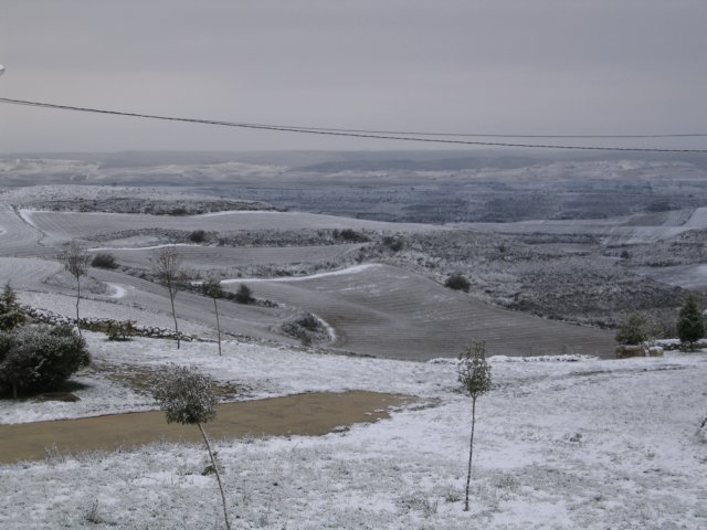 ao_desde_casa_con_nieve.jpg