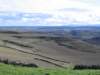 campos10_small.jpg