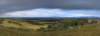 campos2_small.jpg