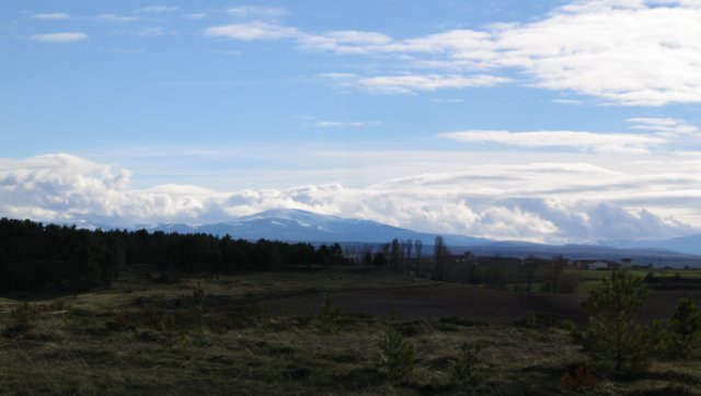 pinar_sierra_y_fresno2.jpg